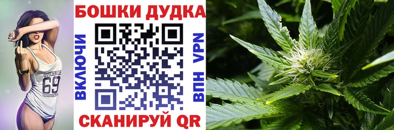 блэк спрут tor  цены   Нелидово  Каннабис SATIVA & INDICA 